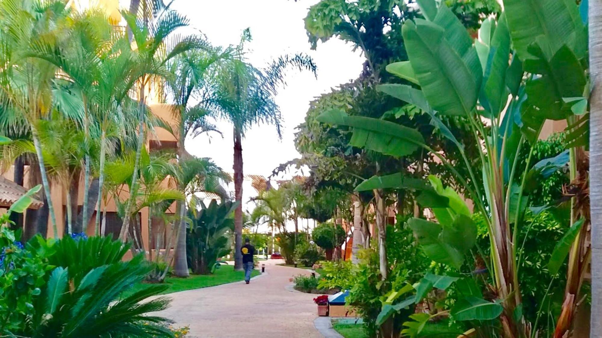 - Alicate Beachfront - 5 * Marbella